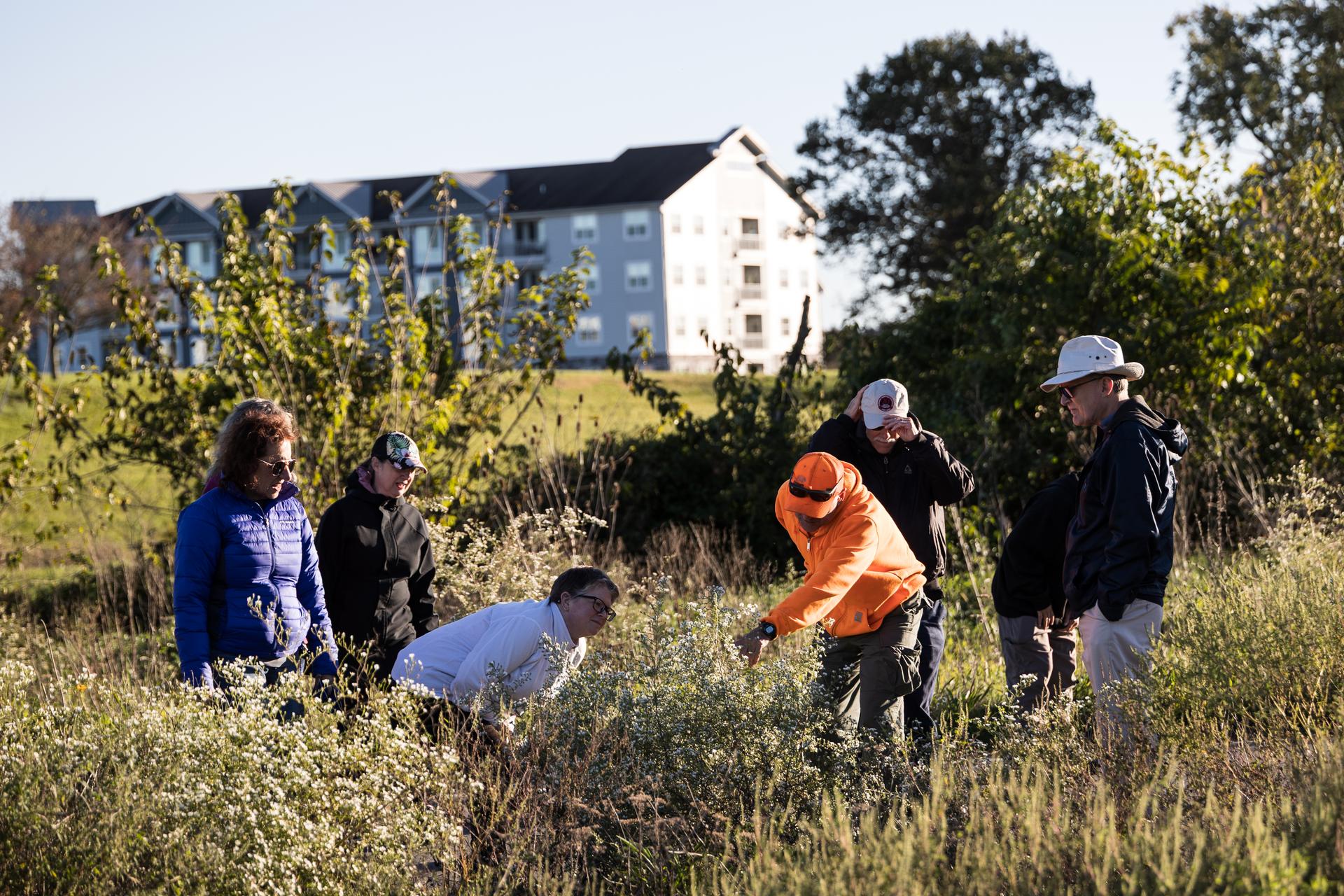 Volunteers gather at a Treelay planting event, placing trees and shrubs as part of a project planting
